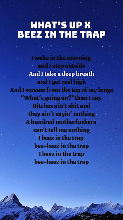 What’s Going On x Beez In The Trap lyrics #tiktoksong #lyrics #music