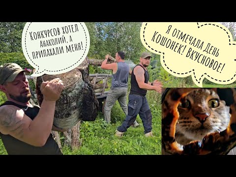 Кошка Морошка отъела у кабачков серединки! Конкурсы для любимого друга Артёма - они сами напросились