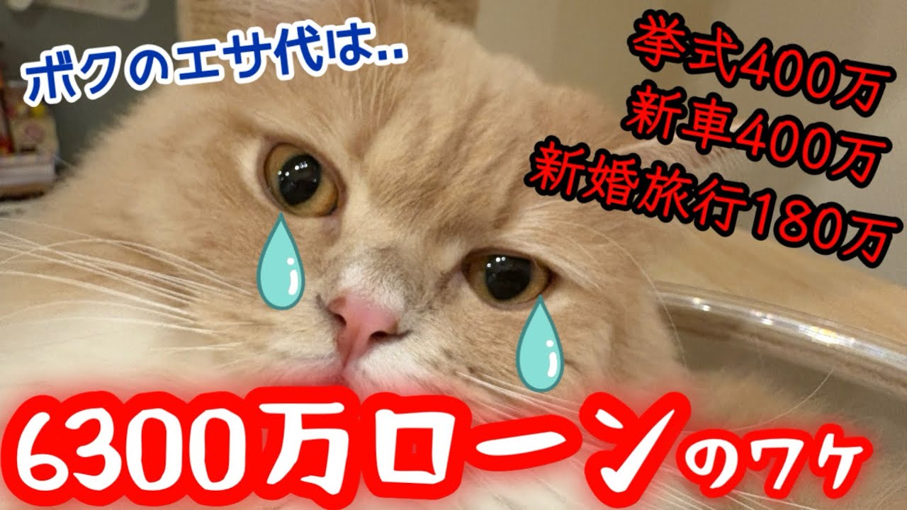 正直、甘かった。35歳で6300万ローンを組んで新築戸建てを買った理由｜30代共働き4人家族