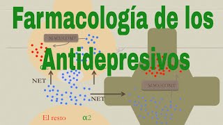 Farmacología del citalopram, la fluoxetina y otros antidepresivos