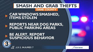 Smash-and-grab burglaries reported at dog parks in Dane, Jefferson counties