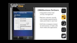SAP Business One Mobile Application Demonstration screenshot 2
