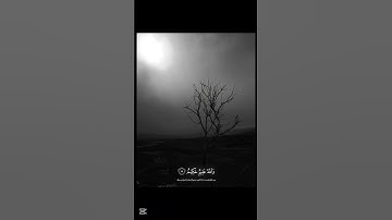 #خالد_الجليل   #قاتلوهم_يعذبهم_الله_بأيديكم_ويخزهم  #قران  #قران_كريم  #سورة_التوبة