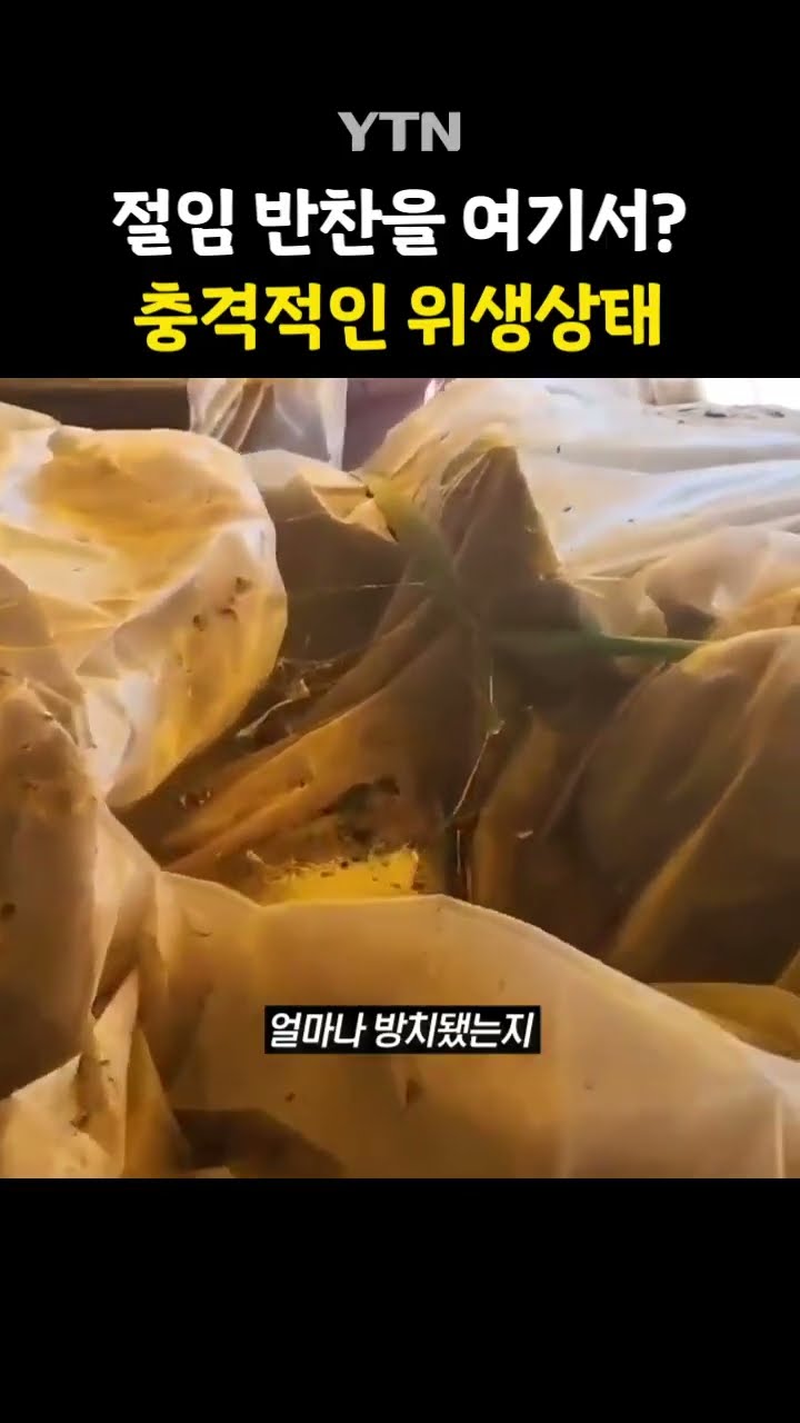 채석장 돌을 왜… #shorts / YTN
