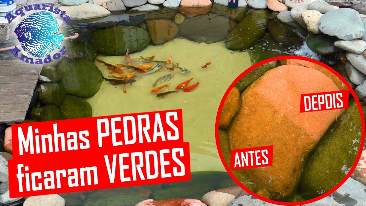 PEDRAS VERDES no lago, como limpar!