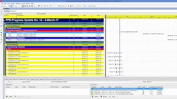 Using flag and indicators in oracle primavera to show progress