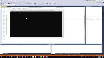 Programming C# - While Loop User Input