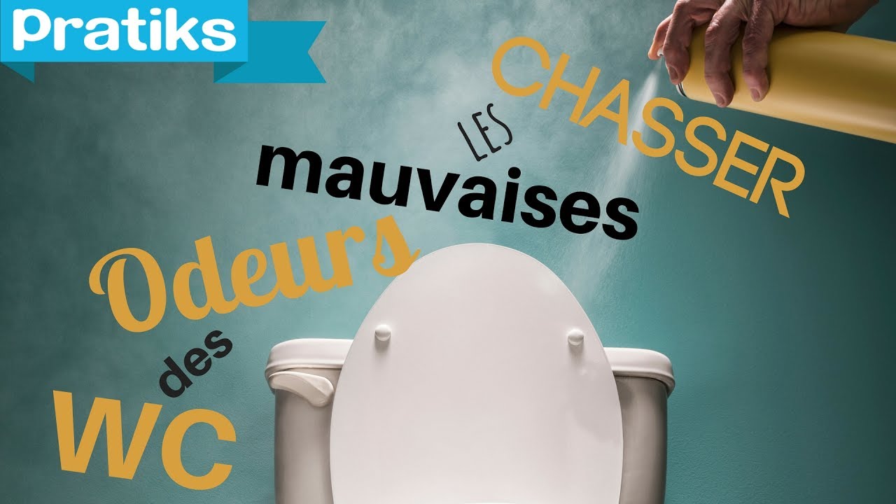 Toilettes sans eau, mauvaises odeurs and co : 4 idées reçues à revoir !