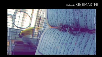 ولنا في كُل جُمعه ثلاث رحَمات صلاةُ على النبيّ وسورةُ الكهفْ وكنزُ ينتّظرُنا قبل المَغيب ٢٠١٨