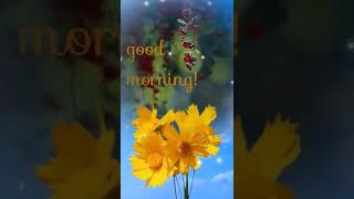 🌄Good Morning🌅Have a nice day🌷Beautiful😍Flower🌹HD🌹720P
