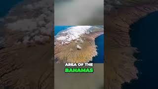 See Johnny Depp's Escape Plan After Amber Heard Trial 😱🤯