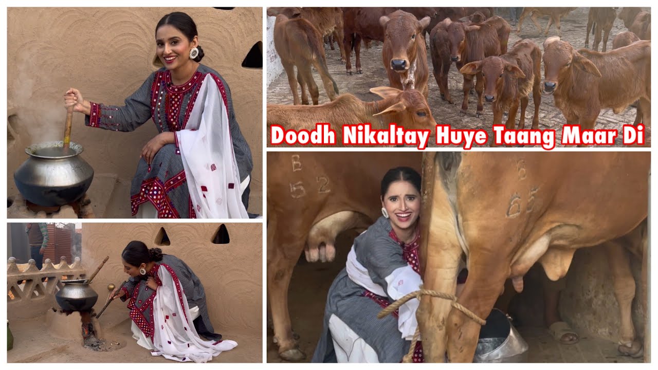 Doodh Nikalna Mehnga Para | Cow Ne Taang Maar Di | Okara | Familycious | Ukasha Gul
