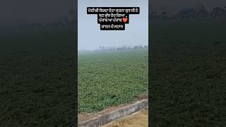 ਪੰਜਾਬ ਦੇ ਨਾਲ ਪੰਜਾਬ ਖੜਾ👏🏻#shortfeed#shortvideo#viralvideo#trendingshorts
