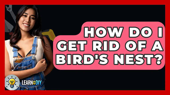 How Do I Get Rid of a Bird's Nest? - LearnToDIY360.com