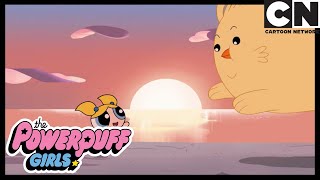 Adiós, Adiós, Bebé Las Supernenas Cartoon Network