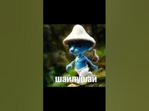 шайлушай - YouTube