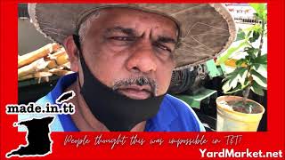 Earning A Living From Sugarcane In T&T