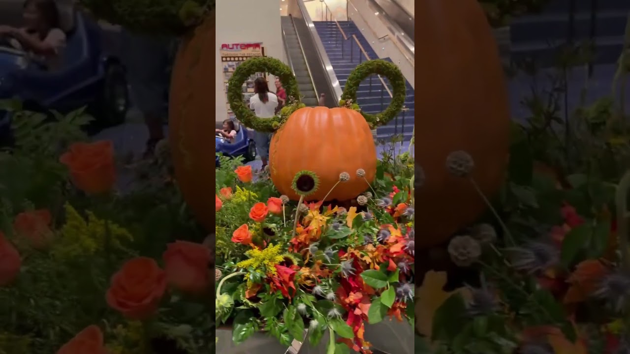 Disneyland Hotel Halloween Time Display has arrived!