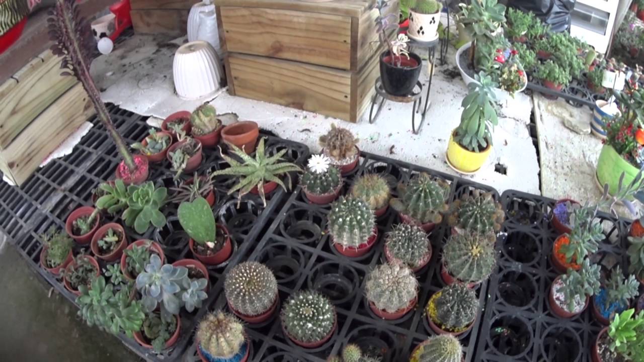 七甲花市 台南市歸仁區花卉園區 Youtube