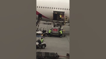 Baggage handling |Airport Scene