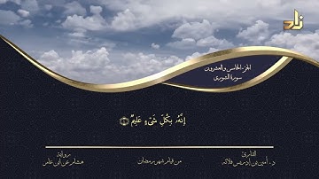 الجزء الخامس والعشرون من القرآن الكريم || رواية هشام عن ابن عامر || المقرئ: د.أمين إدريس فلاته