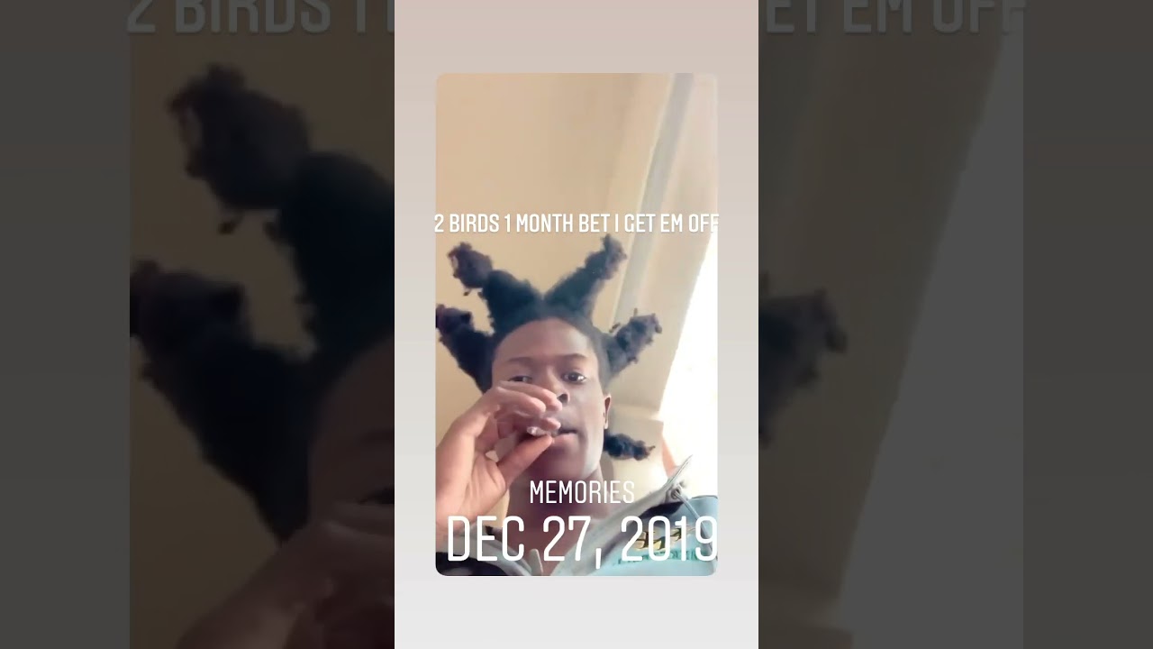 Watch Trapland Pat - 2 Birds 1 Month (Snippet) on YouTube Watch Trapland Pat - 2 Birds 1 Month (Snippet) on YouTube