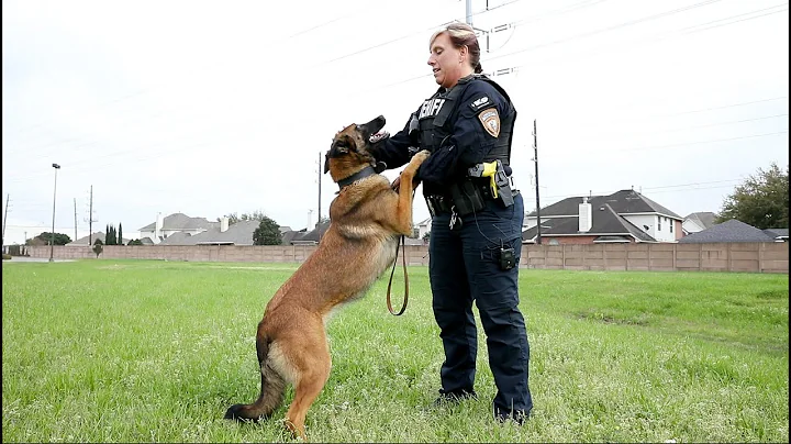 Deputy Divine and K9 Margarita