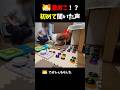 シェルティ激おこ⁉︎初めて聞いた声【会話ボタンでしゃべる犬】 #shorts #dog