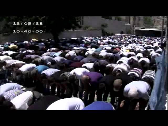 فلسطينية: هنقف قدام العرب نحاسبهم يوم الدين