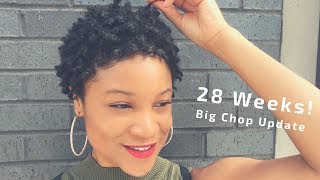 Big Chop Weekly Update: 28 Weeks