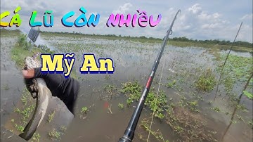 Câu Lũ . Câu Cá Lóc Lũ Diện Rộng Myc An Tháp Mười. Trần Tài Vlog