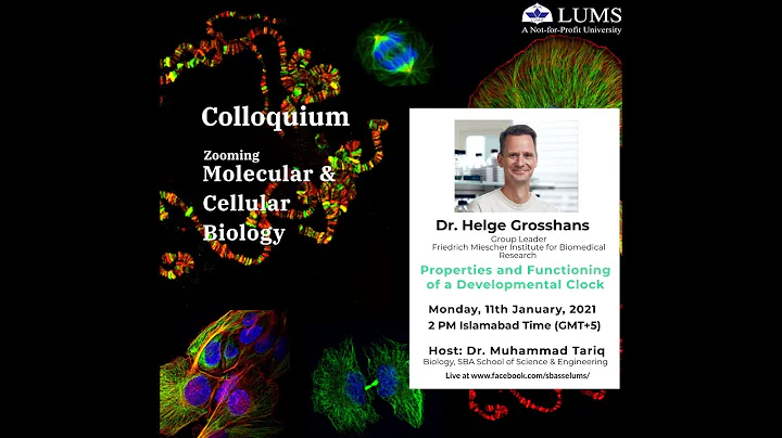 Properties and Functioning of a Developmental Cloc...