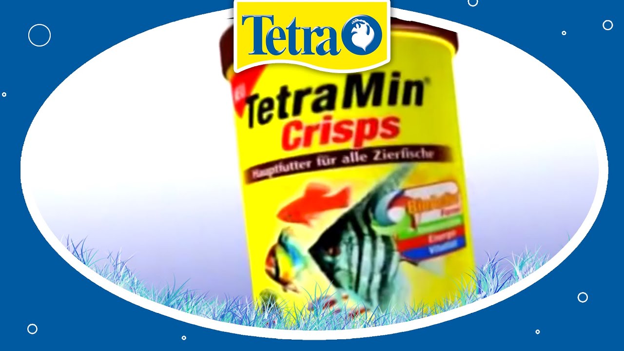 Leckeres Fischfutter: TetraMin Crisps