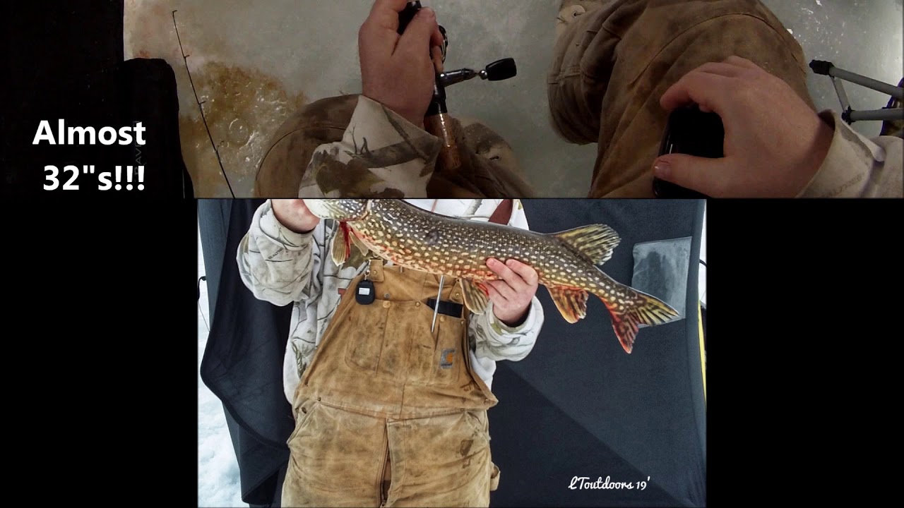 LToutdoors Perch Fishing Hubbard Lake With Steve Foley 🎣🎣🎣 YouTube