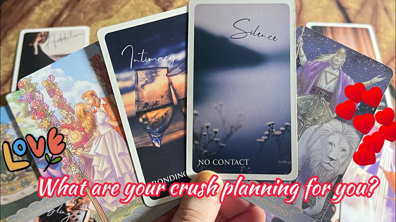Crush current energy: What are your crush planning? ️ Hindi tarot card ...
