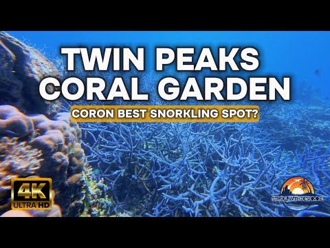 Exploring TWIN PEAKS & CORAL GARDEN – Snorkeling Paradise in Coron, Palawan!