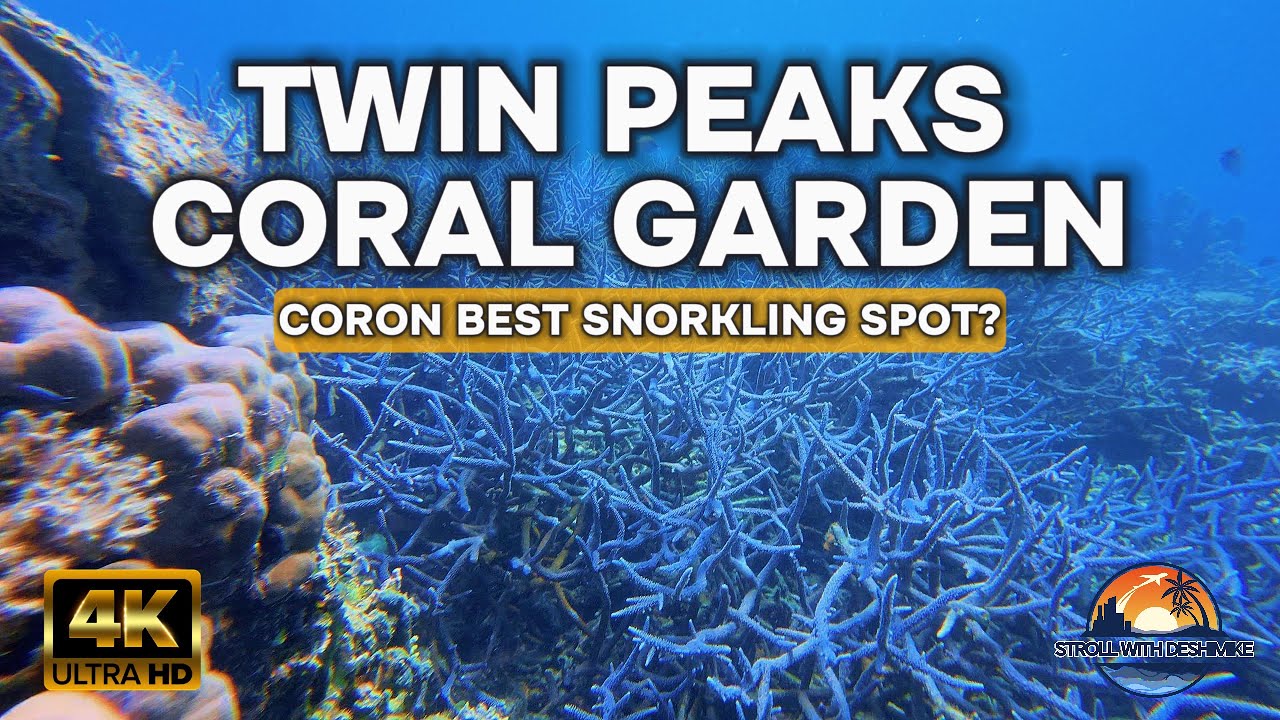 Exploring TWIN PEAKS & CORAL GARDEN – Snorkeling Paradise in Coron, Palawan!