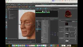 P2 Maya: Texture Application | 3D Soft Modeling Fall 2024 screenshot 4