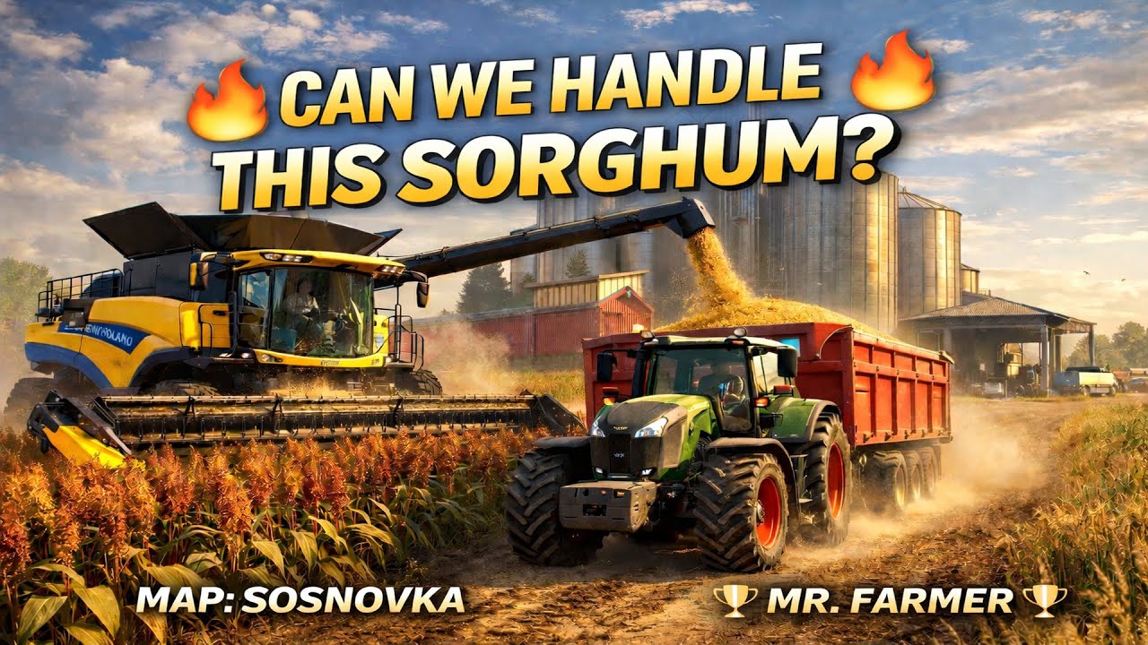 🔥CAN WE HARVEST THIS MASSIVE SORGHUM FIELD🔥