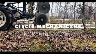 Cięcie mechaniczne / Korekta ręczna ( orchad mechanical pruning / pruning apple trees-winter )