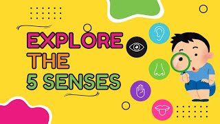 Explore The 5 Senses Fun Science For Kids Elementary Explorers