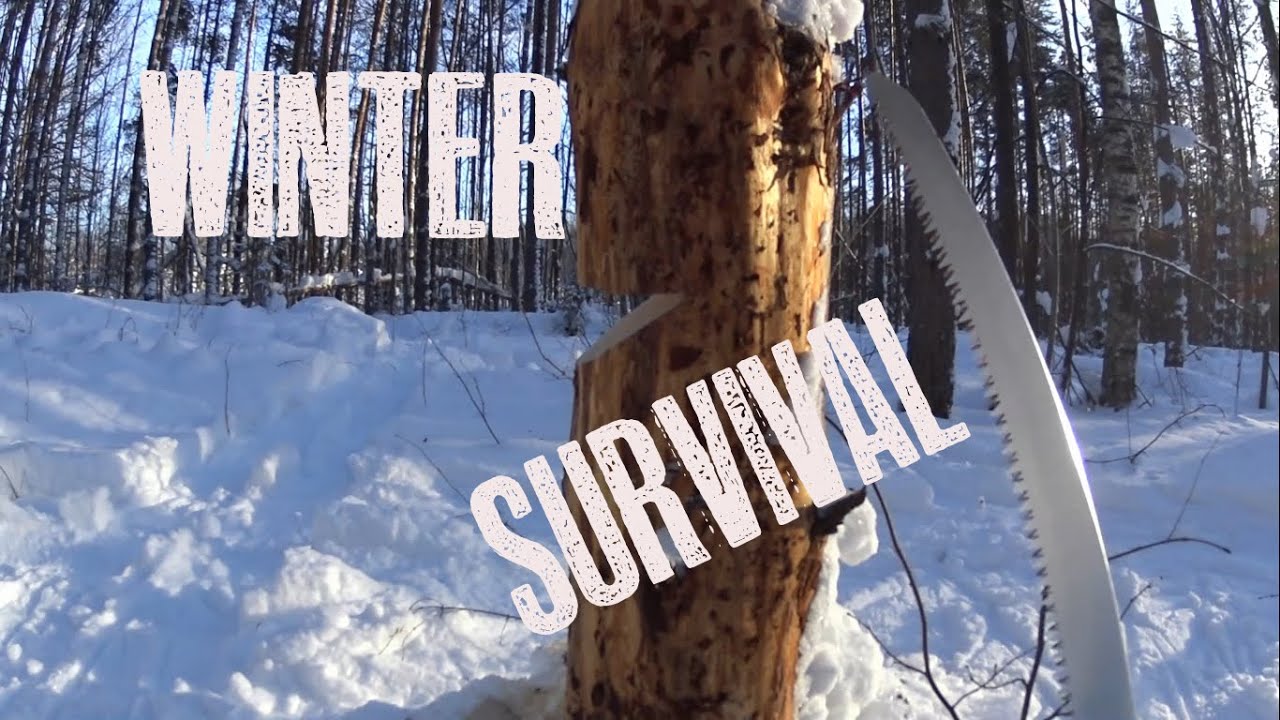 Winter Survival Winter Survival