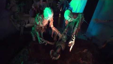 SKEL127- Trio of Exhuming Skeletons