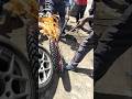 2025 Tirebead Trendingshorts Mustwatch рџ Ґрџ Ґрџ Ґ 2025 Tirebead Trendingshorts Mustwatch рџ Ґрџ Ґрџ Ґ