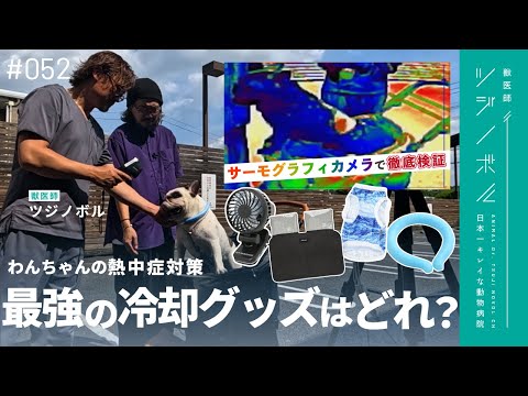 愛犬を夏の危険から守る！飼い主必見の安全対策完全ガイド