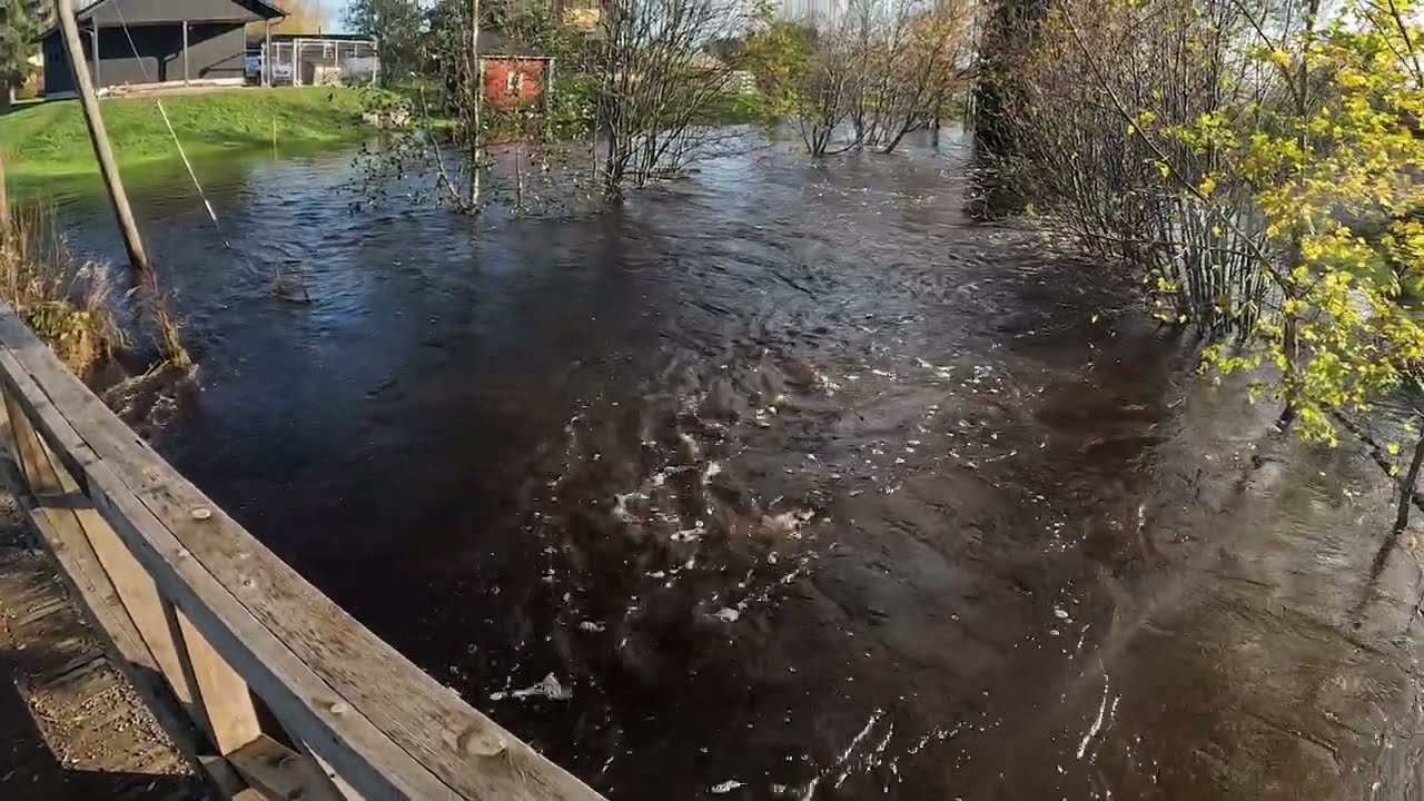 Pattijoki tulvii 13.10.2023