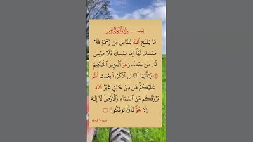#سورة_فاطر #ايات_قرانيه_قصيره #shots #shotsyoutube #shayari #shotsfeed #shots_video