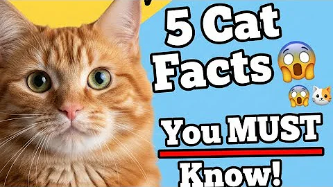 5 Cat facts you Must Know  #cats #catsfact