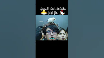 قصة عش البيض اللي فوق دماغ الراجل 