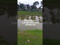 kali aja boleh di sertifikat kan sungai banjir kanal #sertifikat #viral #sungai #kocak